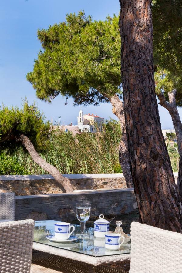 Dellagracia Mansion In Poseidonia Syros Βίλα Ποσειδωνία Εξωτερικό φωτογραφία